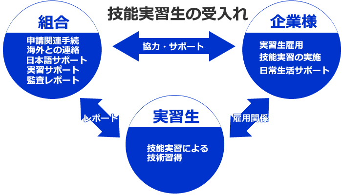 企業様、組合と実習生の業務の分担