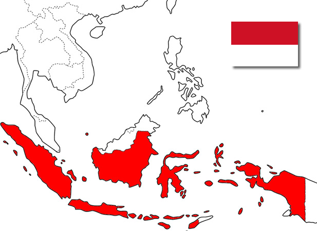 送出し国インドネシア