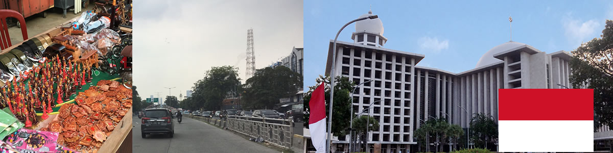 はじめてでも安心のサポート体制